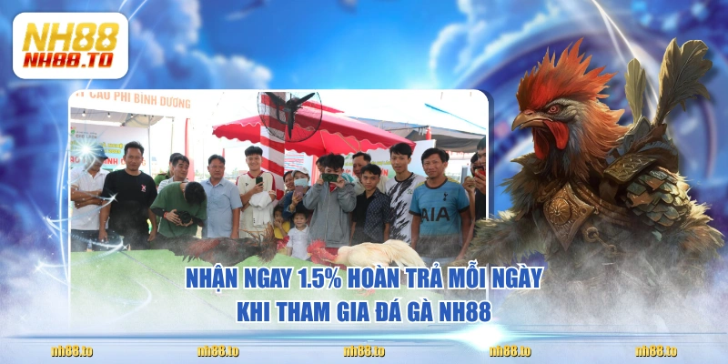 Nhận ngay 1.5% hoàn trả mỗi ngày khi tham gia đá gà NH88