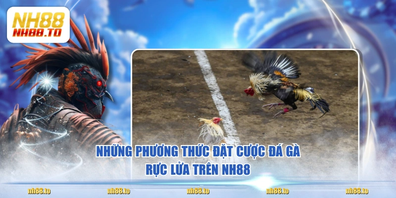 Những phương thức đặt cược đá gà rực lửa trên NH88